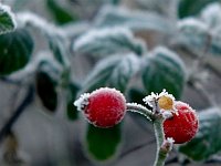 sottozero (4)